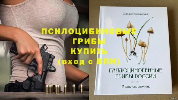 амфетамин Богданович