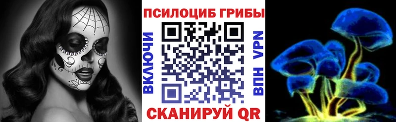 Галлюциногенные грибы Psilocybe  наркотики  Бородино 